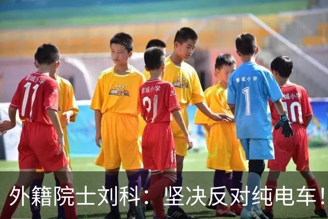 外籍院士刘科：坚决反对纯电车！除中国外，都是燃油车碾压电动车！