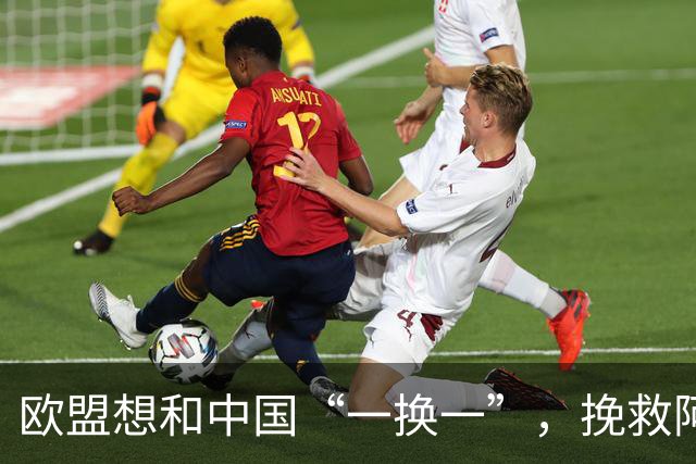 欧盟想和中国“一换一”，挽救阿斯麦企业，方案中国未必会同意
