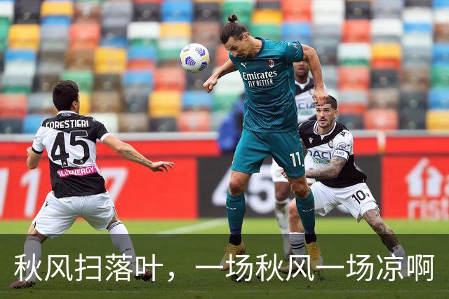 秋风扫落叶，一场秋风一场凉啊