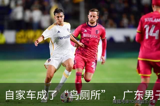 自家车成了“鸟厕所”，广东男子莫名确诊肺炎，医生：已有数例此类患者；温馨提醒：鸟粪不能随意擦
