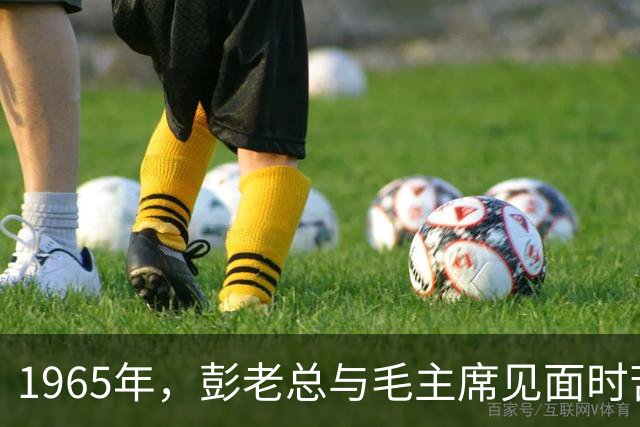 1965年，彭老总与毛主席见面时苦涩说道：我无事不登三宝殿！