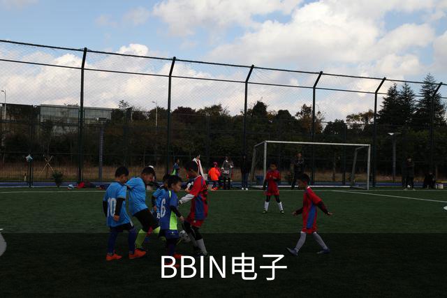 BBIN电子公司介绍